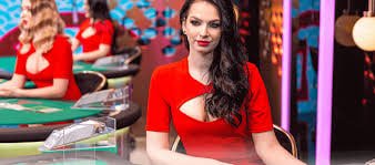 ibet78 VIP Program Cashback Bonus Myanmar ကစားသမားများ Loyalty Rewards